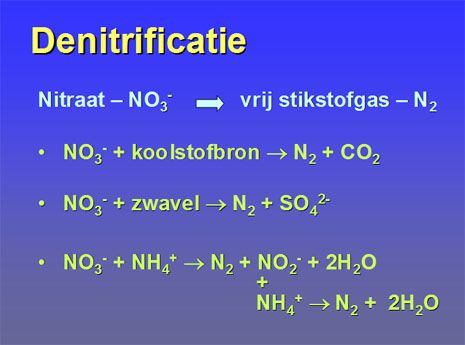 denitrificatie