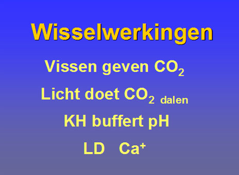 Wisselwerking