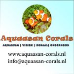 https://www.aquaasan-corals.nl/